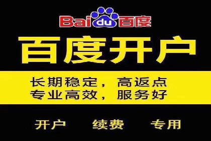 百度包年竞价策略调整与效果评估案例